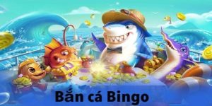 Bắn Cá Bingo Là Gì? Kinh Nghiệm Chơi Game Hay Tại Kubet