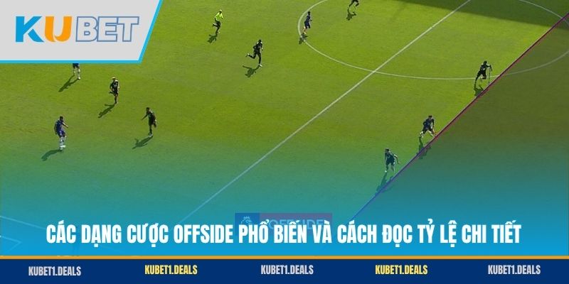 Các dạng cược Offside phổ biến và cách đọc tỷ lệ chi tiết