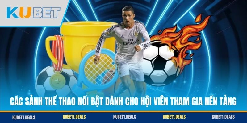 Các sảnh thể thao nổi bật dành cho hội viên tham gia nền tảng