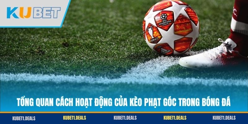 Tổng quan cách hoạt động của kèo phạt góc trong bóng đá