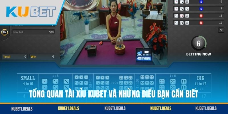 Tổng quan Tài Xỉu KUBET và những điều bạn cần biết